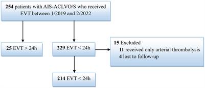 Endovascular therapy beyond 24 hours for anterior circulation large vessel occlusion or stenosis in acute ischemic stroke: a retrospective study